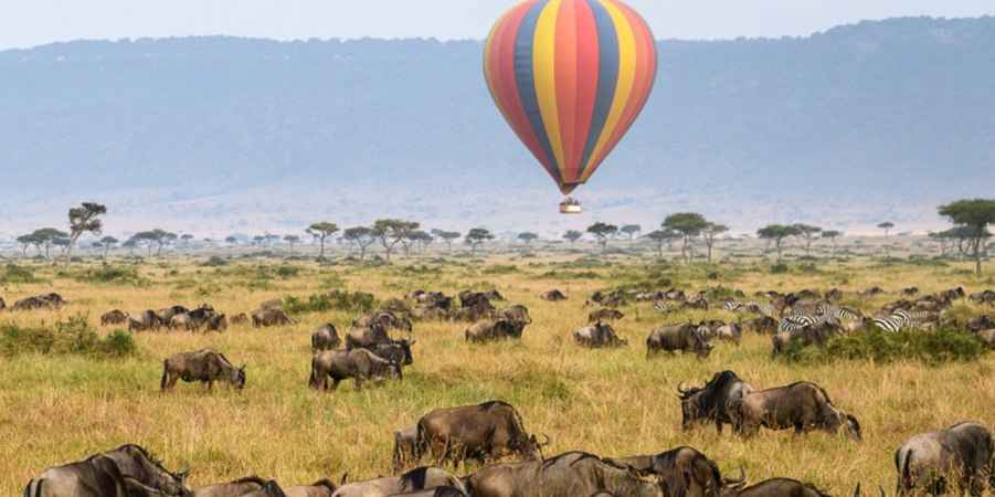 You are currently viewing 4 Days Masai Mara Explorer