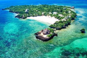Read more about the article 1 Day Wasini Island Tour