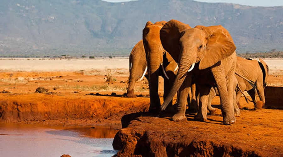 Read more about the article 3 Day Tsavo East/West Hippo Safari – Ziwani Adventure