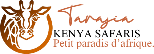 Tarajia Kenya Safaris