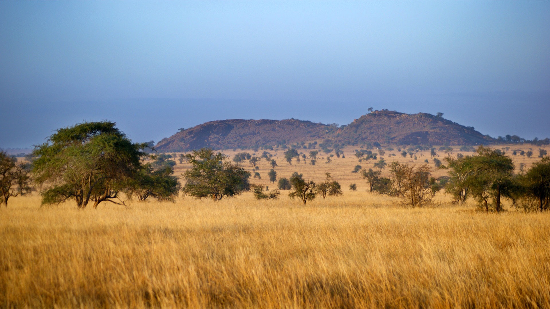 Read more about the article 5 Day Safari BigFive Gold Luxury